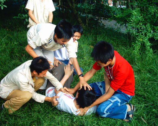 2006  (57)
